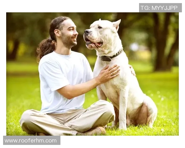 蒙特瑞与墨西哥老虎的巅峰对决谁能笑到最后